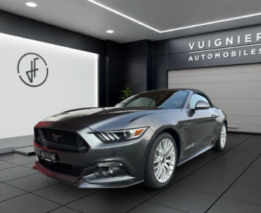 Mustang.JPEG Mustang.JPEG